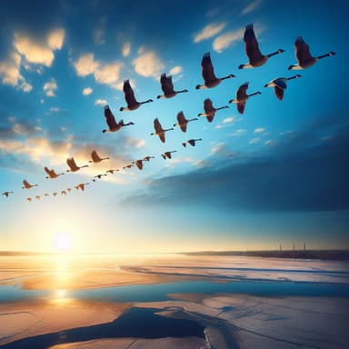 Guiding Geese North: Safe Migration Path
